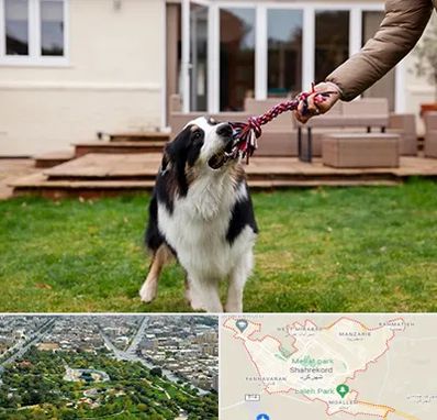 پانسیون سگ در شهرکرد