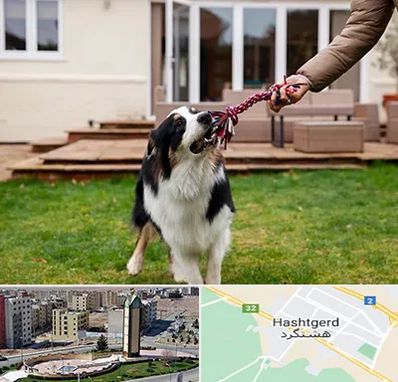 پانسیون سگ در هشتگرد