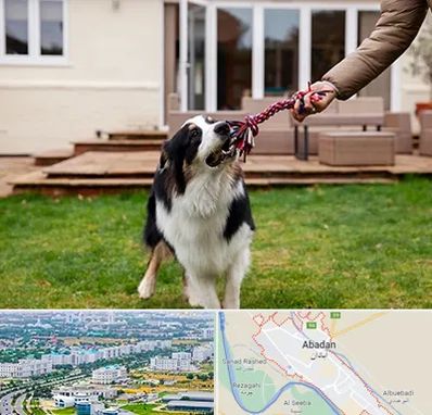 پانسیون سگ در آبادان