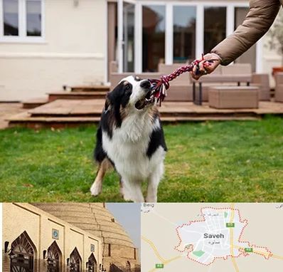 پانسیون سگ در ساوه