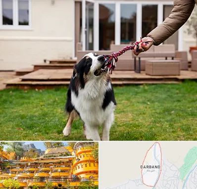 پانسیون سگ در دربند