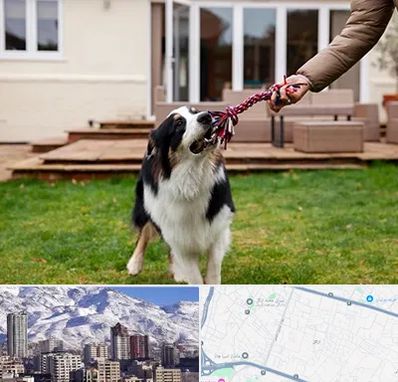 پانسیون سگ در ازگل