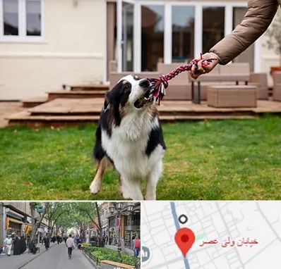 پانسیون سگ در ولیعصر شهریار