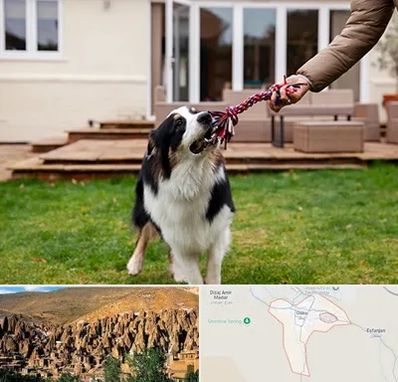 پانسیون سگ در اسکو