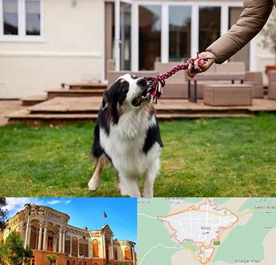 پانسیون سگ در خوی