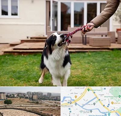 پانسیون سگ در کوی وحدت شیراز 