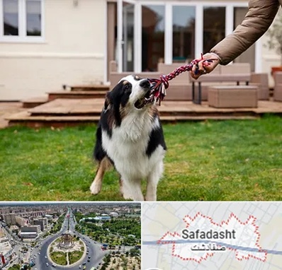 پانسیون سگ در صفادشت