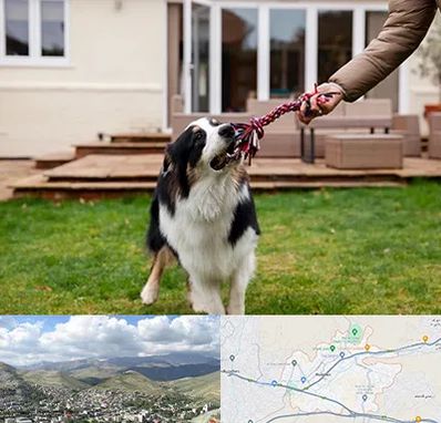 پانسیون سگ در رودهن