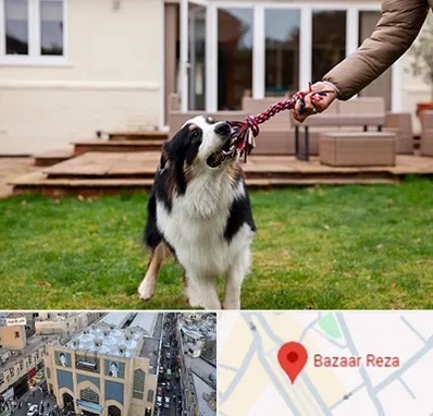 پانسیون سگ در بازار رضا مشهد