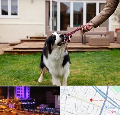 پانسیون سگ در آبرسان تبریز