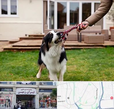 پانسیون سگ در ایران زمین