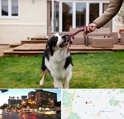 پانسیون سگ در بلوار سجاد مشهد 