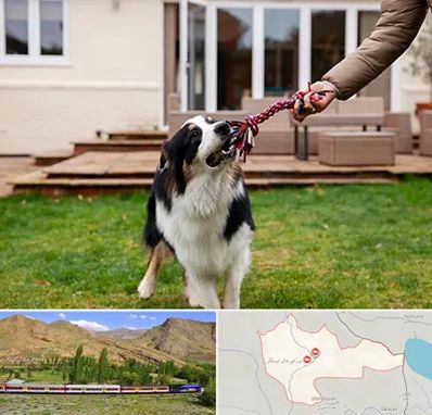 پانسیون سگ در خاش