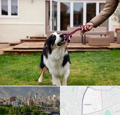 پانسیون سگ در جمشیدیه