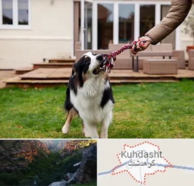 پانسیون سگ در کوهدشت