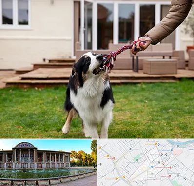 پانسیون سگ در عفیف آباد شیراز 