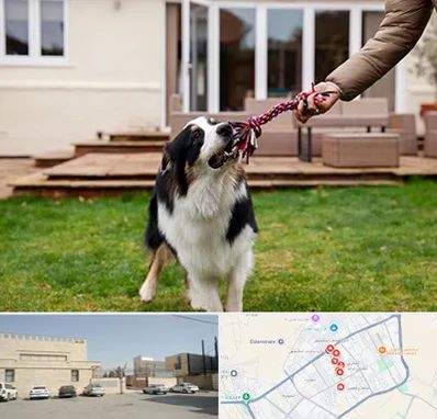 پانسیون سگ در نواب اسلامشهر