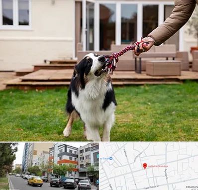 پانسیون سگ در هفده شهریور تبریز