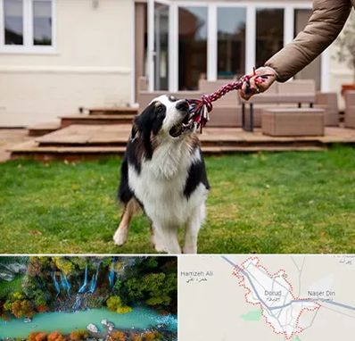 پانسیون سگ در دورود