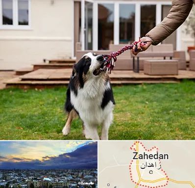پانسیون سگ در زاهدان