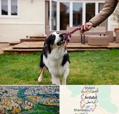 پانسیون سگ در اردبیل