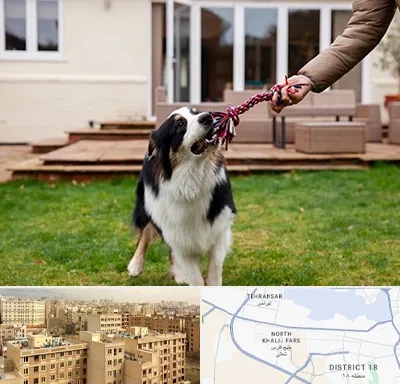 پانسیون سگ در جنوب غرب تهران