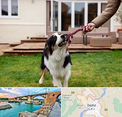 پانسیون سگ در دزفول