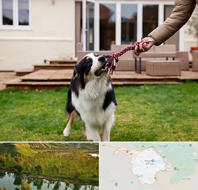 پانسیون سگ در بهبهان