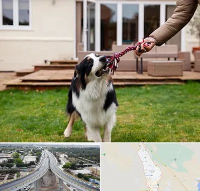 پانسیون سگ در اندیمشک