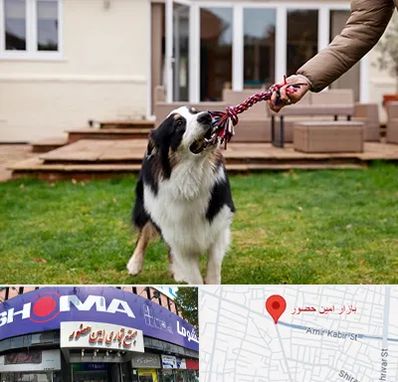 پانسیون سگ در امین حضور