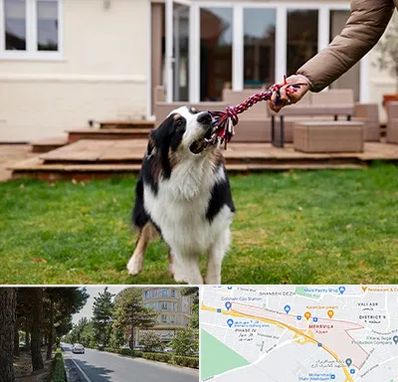 پانسیون سگ در مهرویلا کرج 