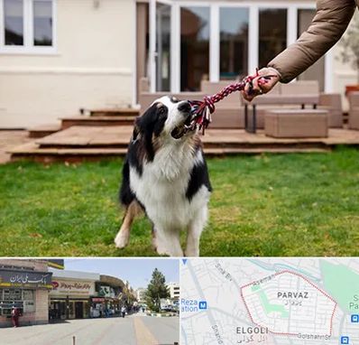 پانسیون سگ در پرواز تبریز
