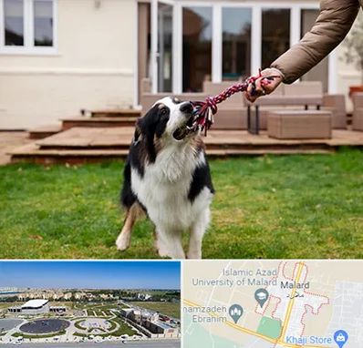 پانسیون سگ در ملارد