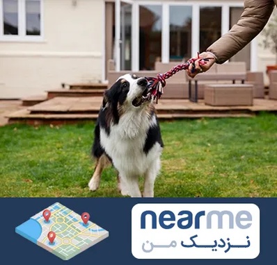 پانسیون سگ در نزدیک من