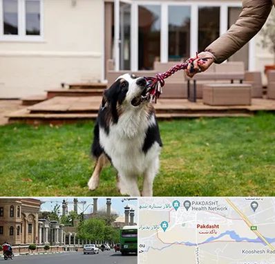 پانسیون سگ در پاکدشت