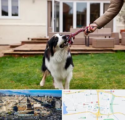 پانسیون سگ در شهرک راه آهن 