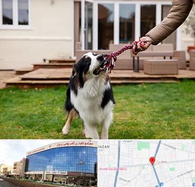 پانسیون سگ در نصف راه تبریز