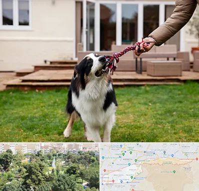 پانسیون سگ در منطقه 13 تهران 