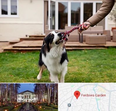 پانسیون سگ در باغ فردوس