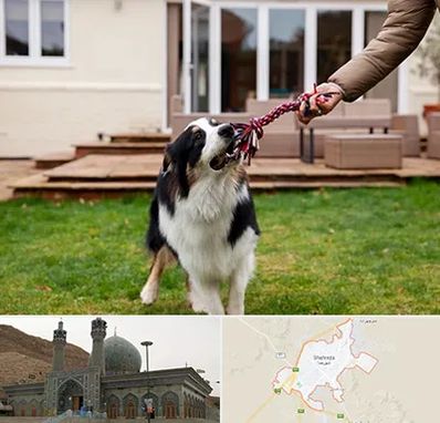 پانسیون سگ در شهرضا