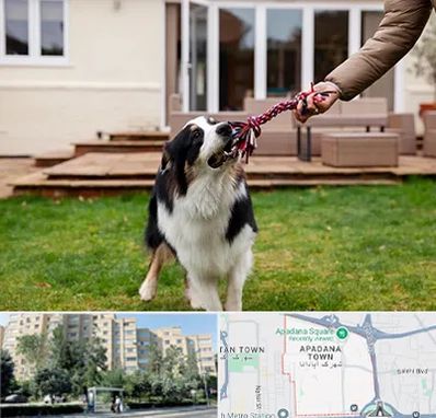 پانسیون سگ در آپادانا