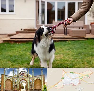 پانسیون سگ در سمنان