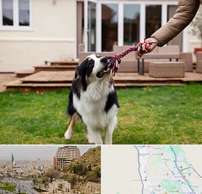 پانسیون سگ در فرهنگ شهر شیراز 