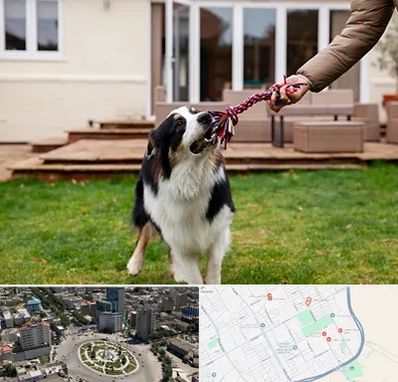 پانسیون سگ در زرافشان اسلامشهر