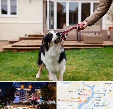 پانسیون سگ در کیانپارس اهواز 