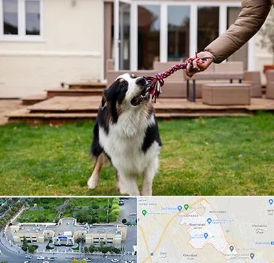 پانسیون سگ در نسیم شهر