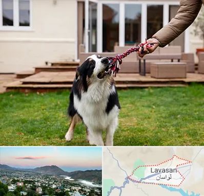 پانسیون سگ در لواسان