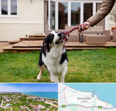 پانسیون سگ در نوشهر