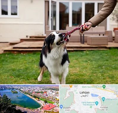 پانسیون سگ در لاهیجان