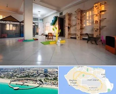 پانسیون گربه در کیش